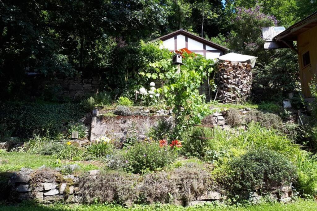 Eine Gemuetliche Ferienwohnung Mit Garten Bad Karlshafen Ngoại thất bức ảnh