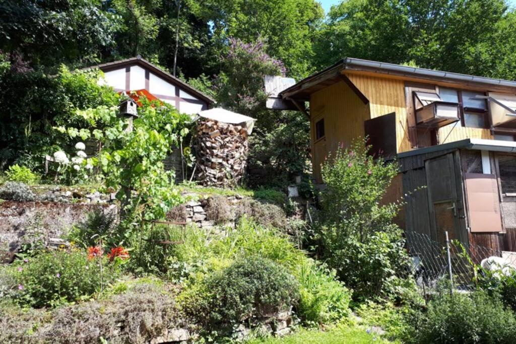 Eine Gemuetliche Ferienwohnung Mit Garten Bad Karlshafen Ngoại thất bức ảnh